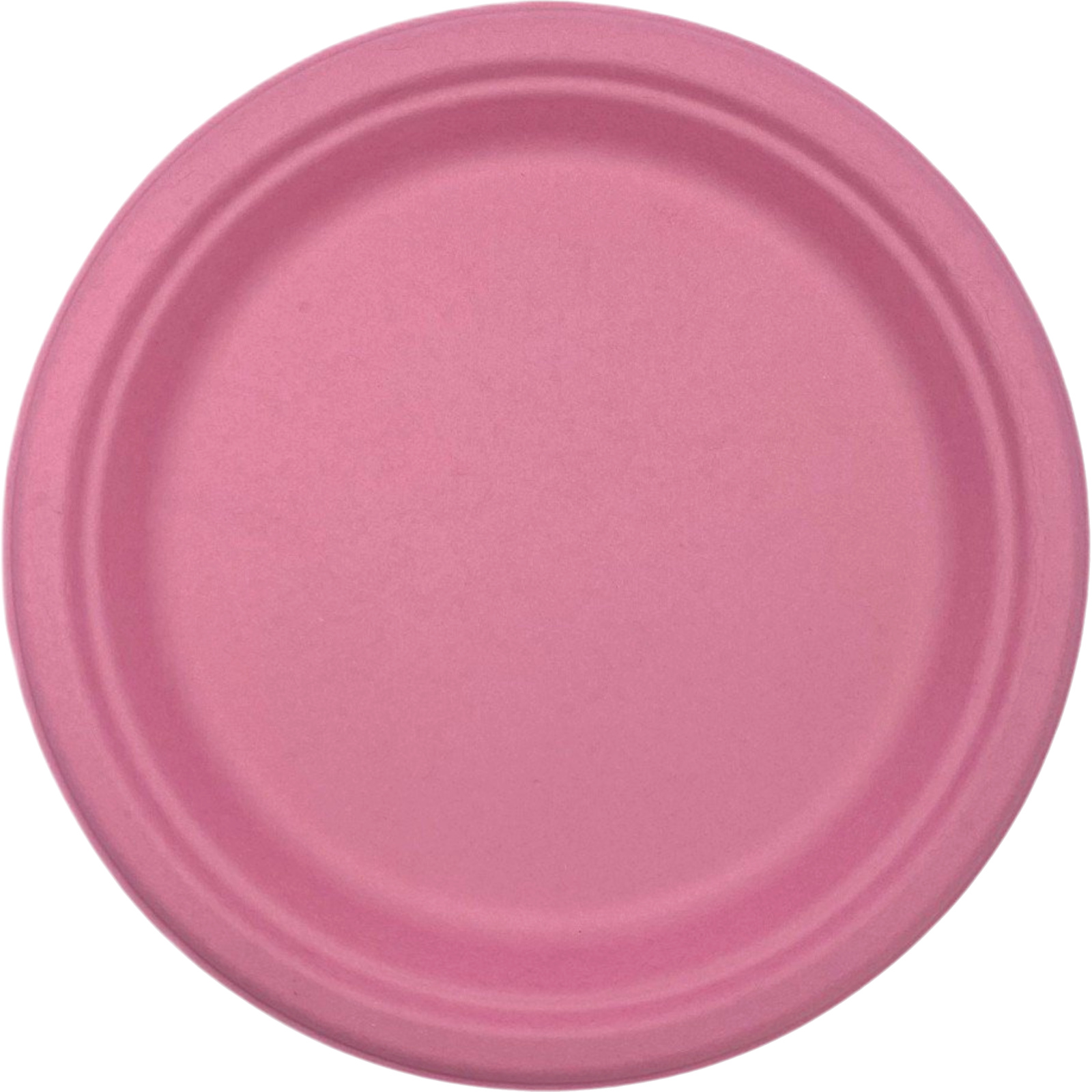 Pastel Pink Sugar Cane Large Plates (Pack of 25) 