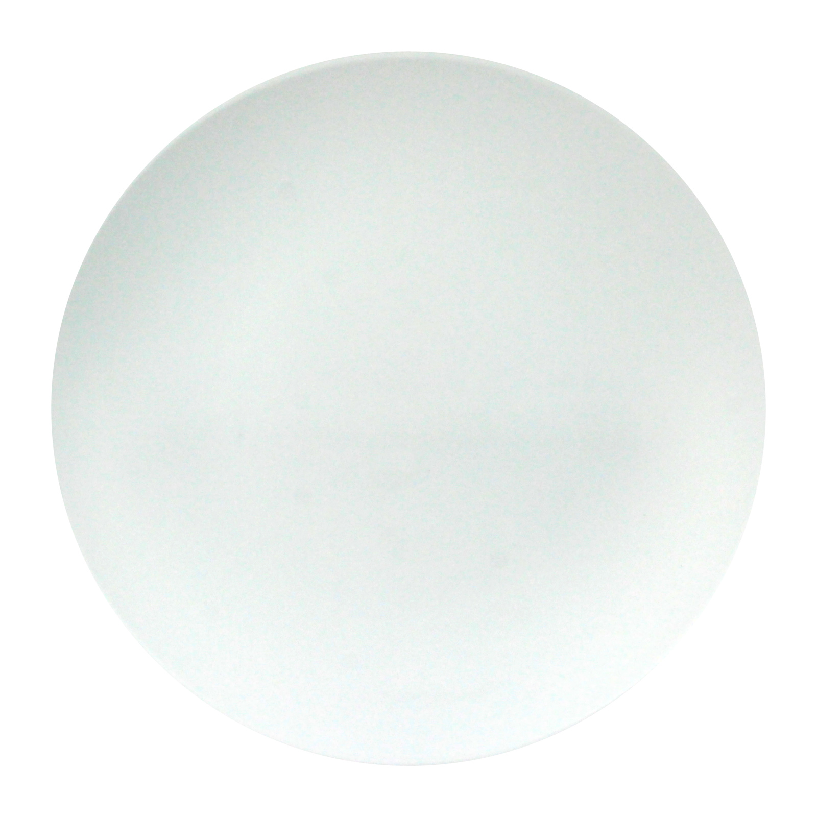Everyday Home Deluxe White Reusable Small Plates (Pack of 10)