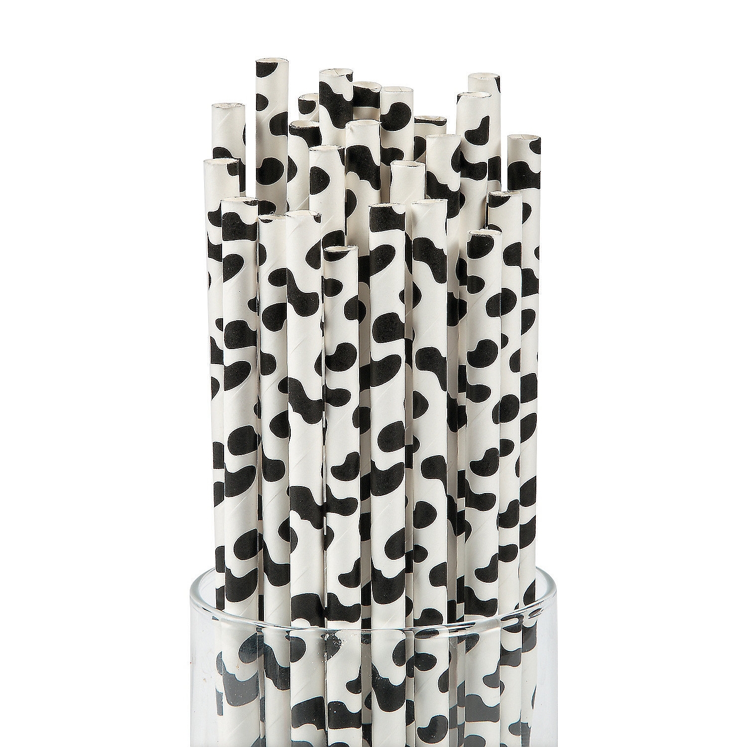 Cow Print Paper Straws (Pack of 24)