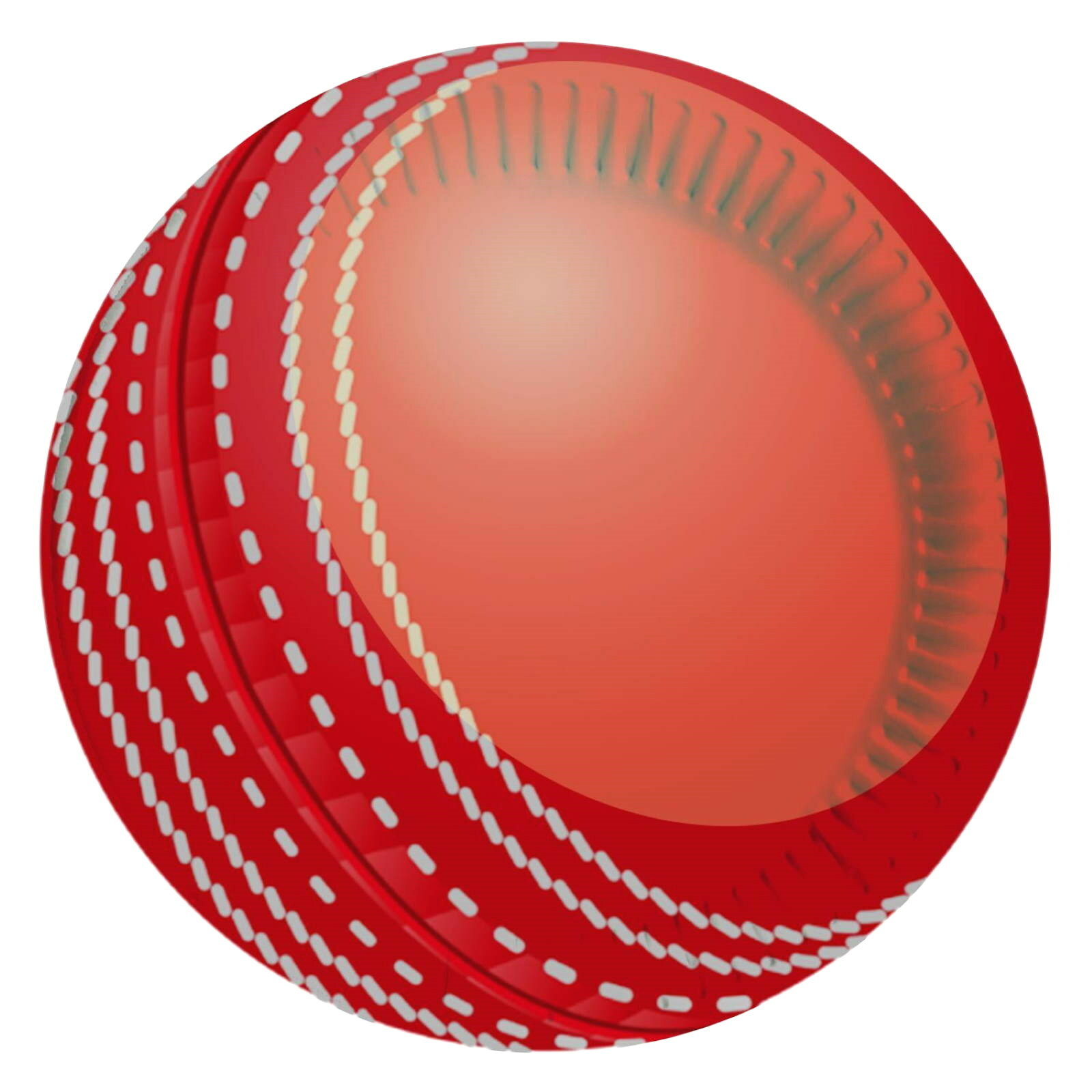 Cricket Large Paper Plates (Pack of 8)