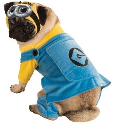 Despicable Me Minion Pet Costume XL