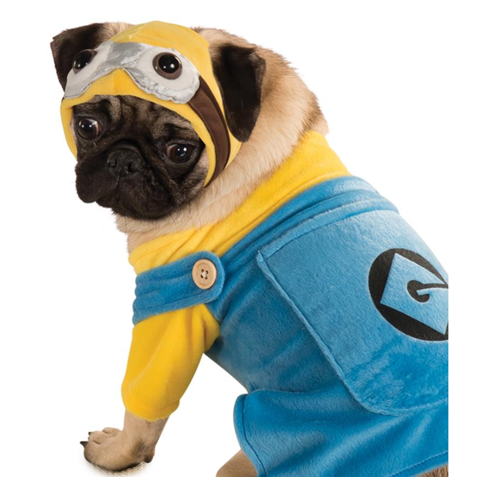 Despicable Me Minion Pet Costume Large