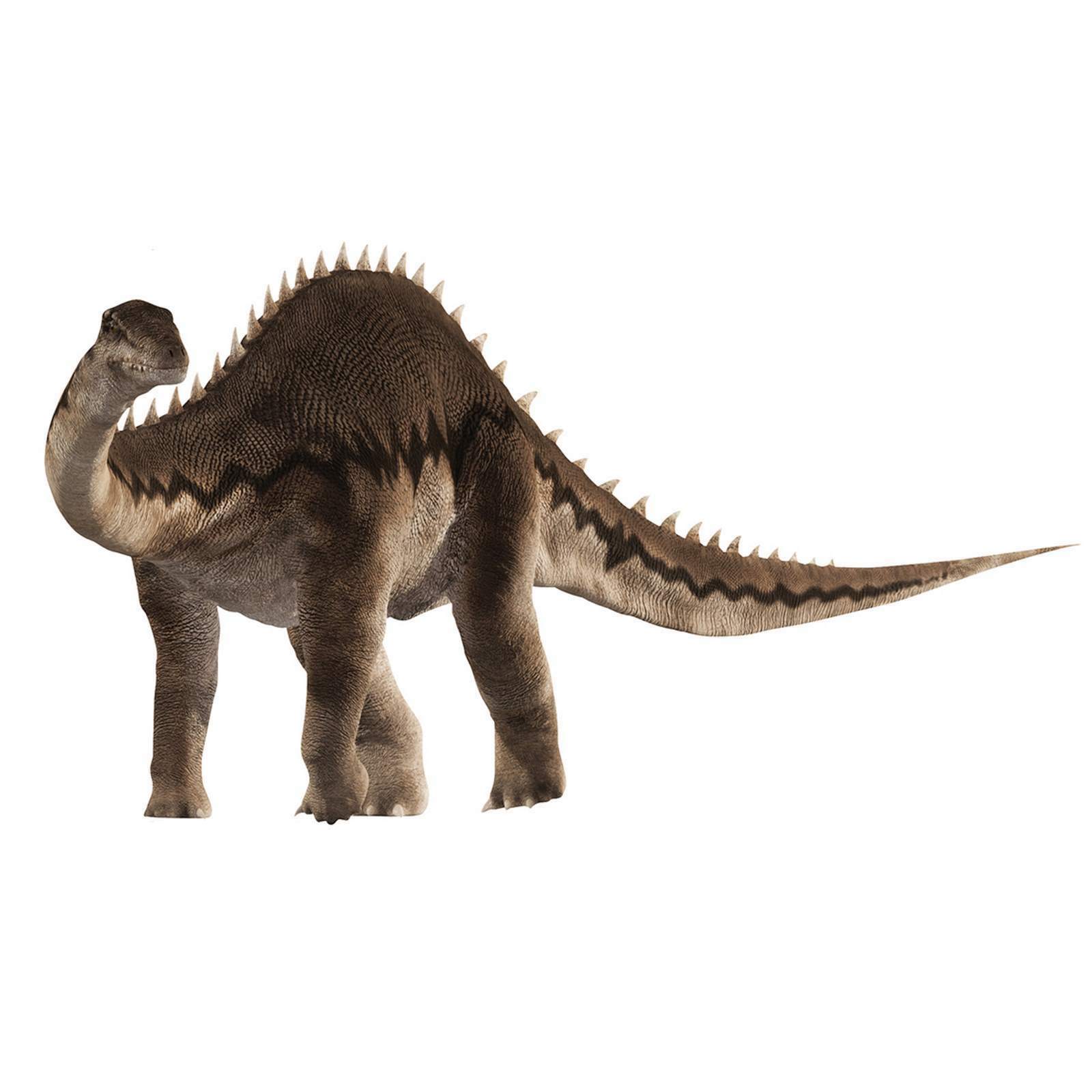 Diplodocus Stand Up Photo Prop