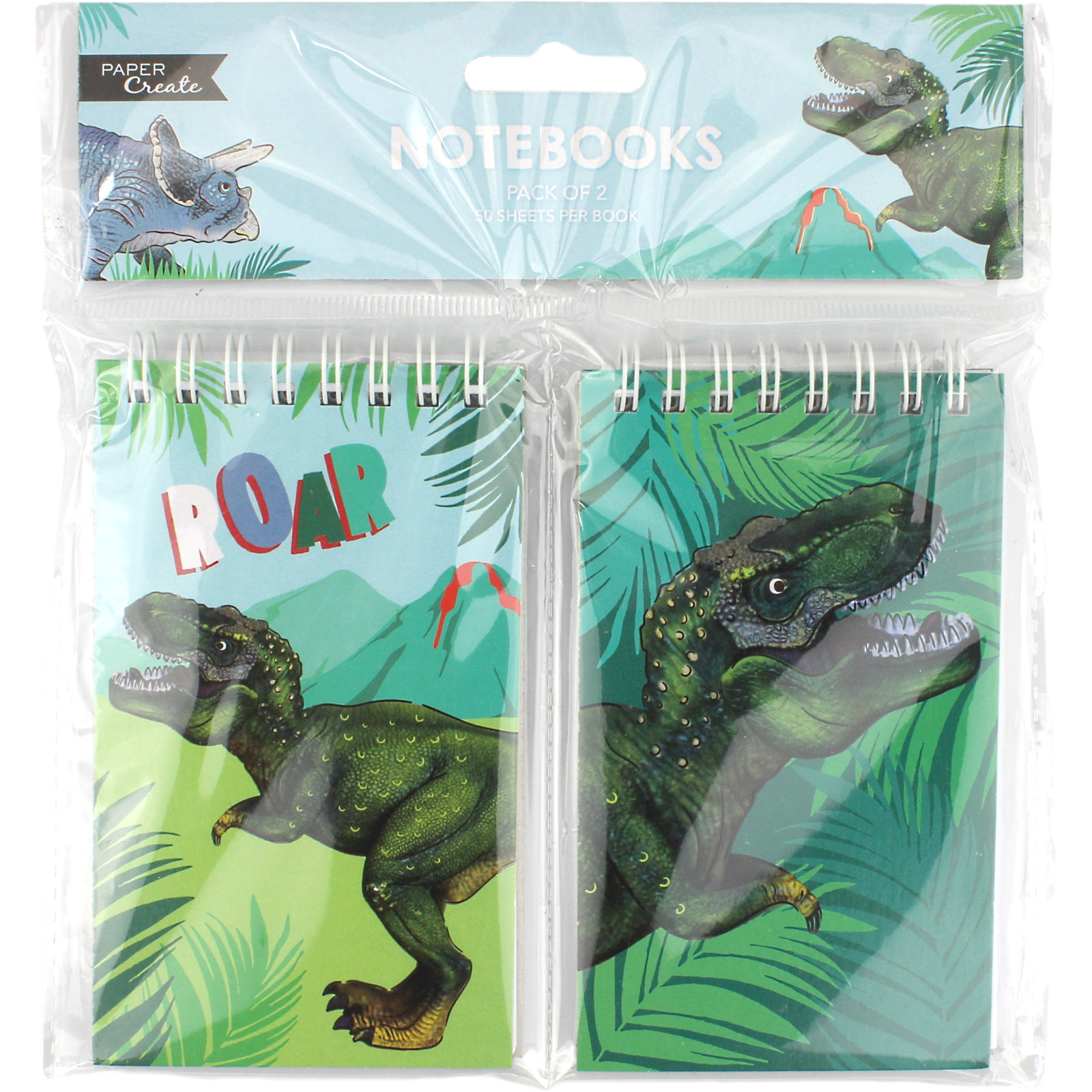 Dinosaur Fun Notepads (Pack of 2)
