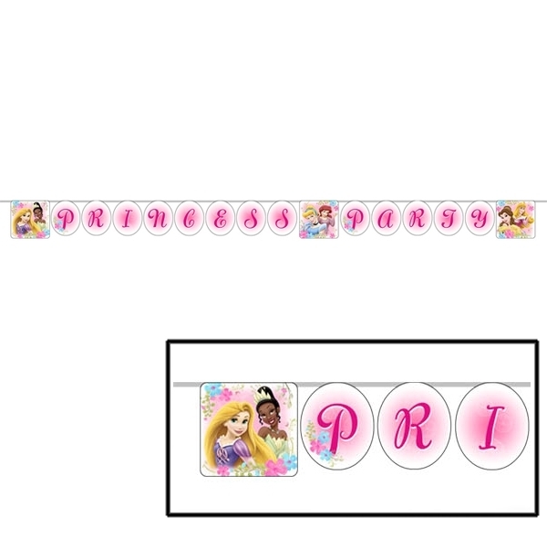 Disney Fanciful Princess Party Banner