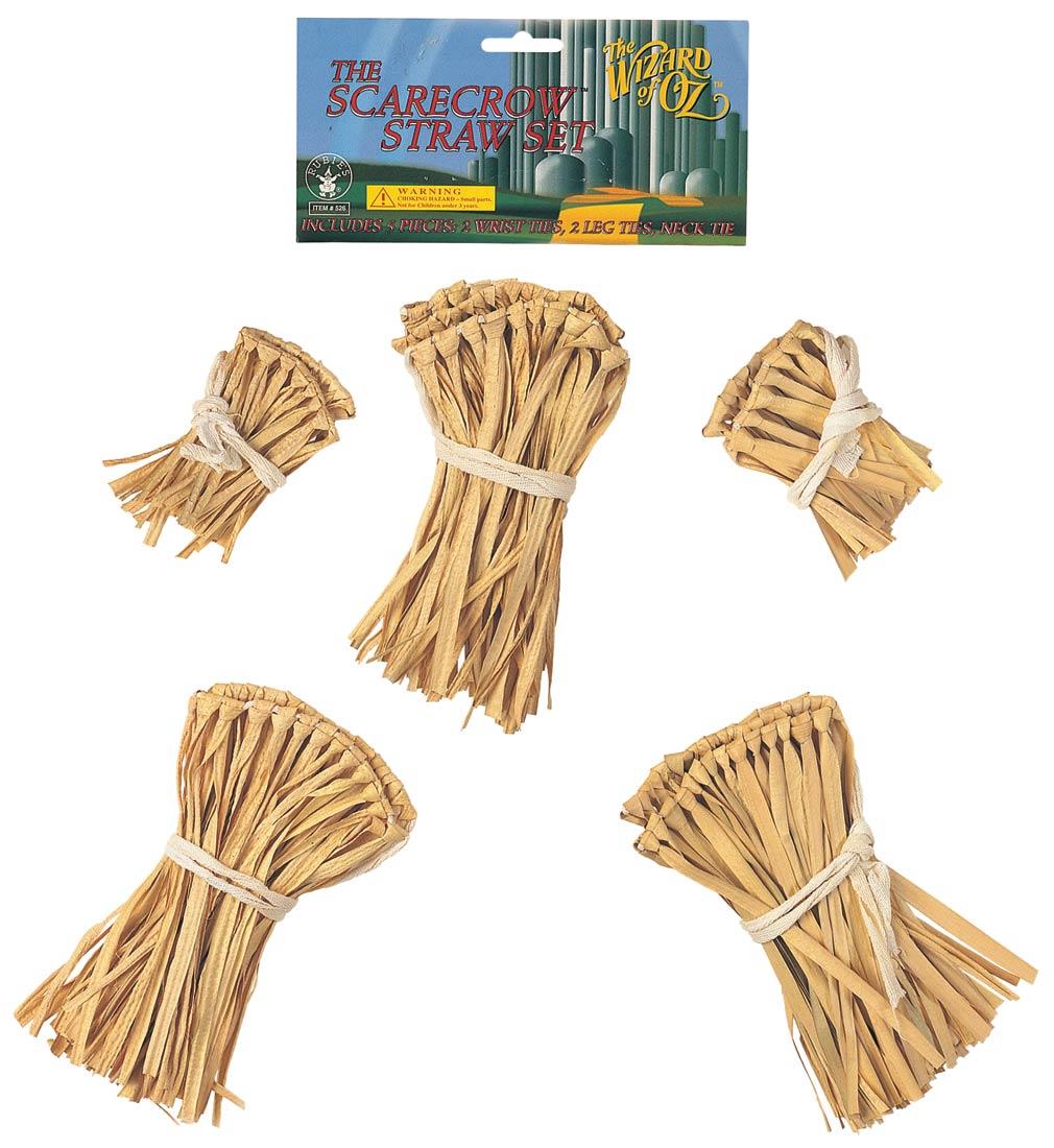 The Wizard of Oz Scarecrow Straw Accessory Kit