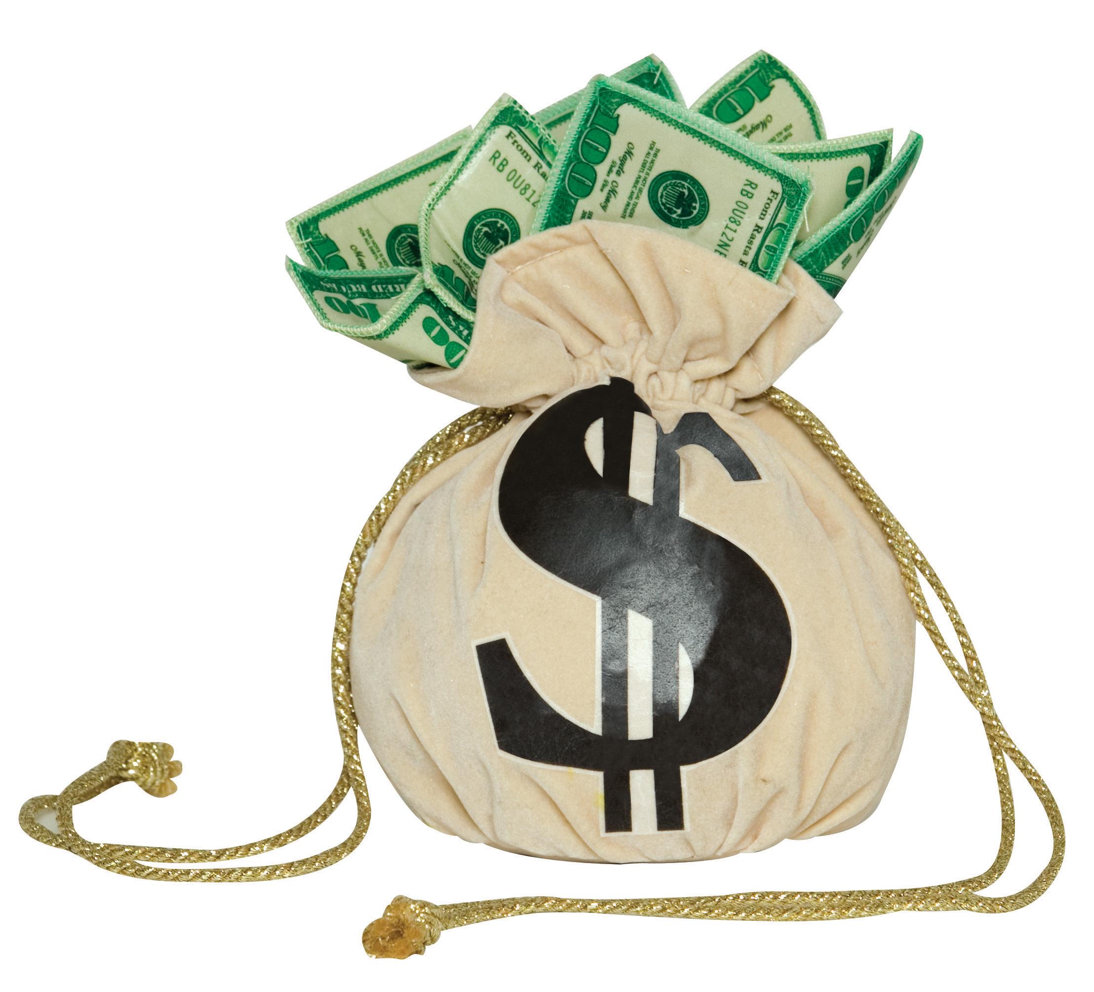 Money Bag Handbag Purse Adult Costume Accessory