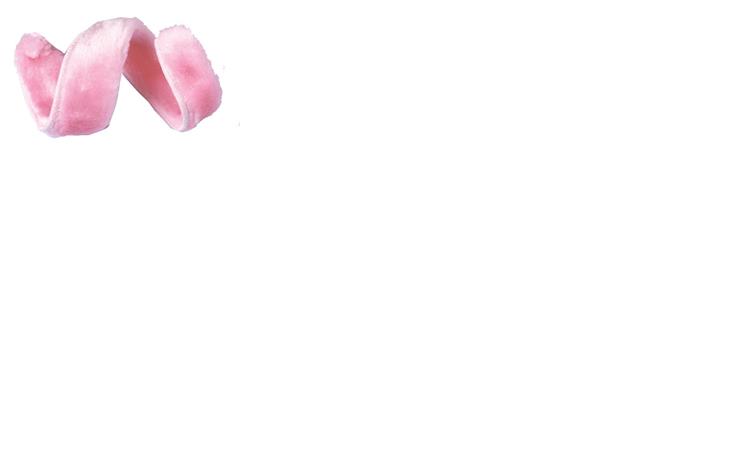 Pig Tail Adult Costume Accessory