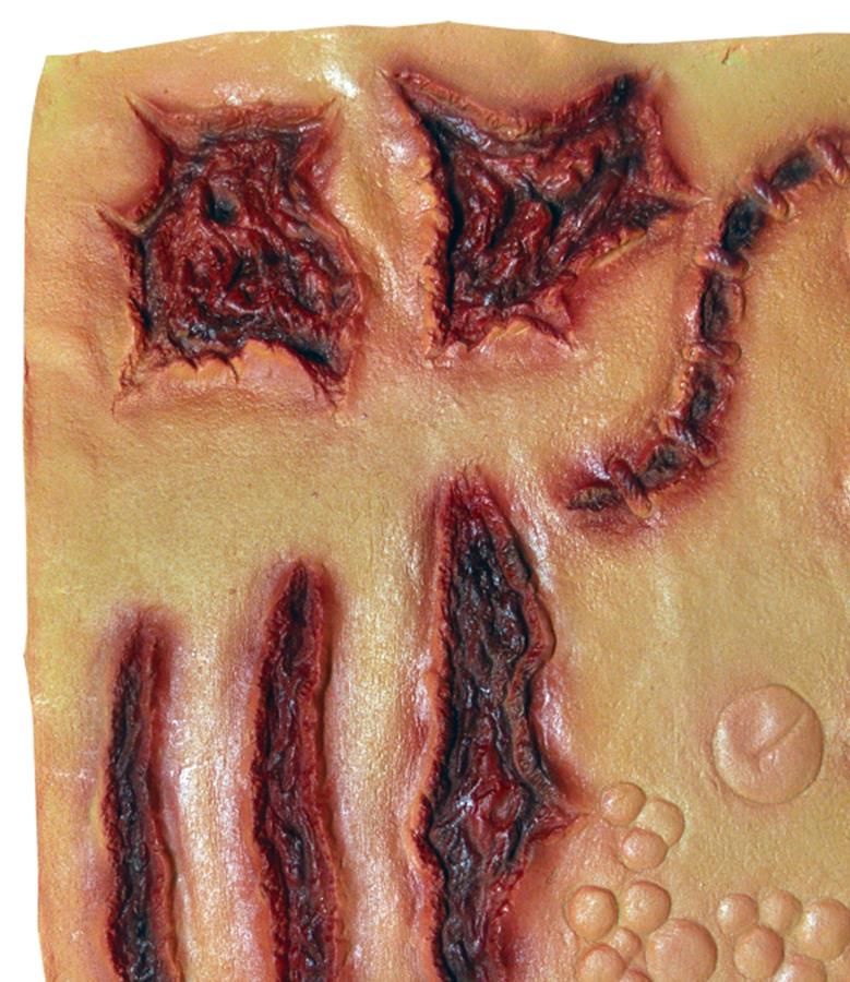 Scar Sheet Prosthetics Makeup Accessory