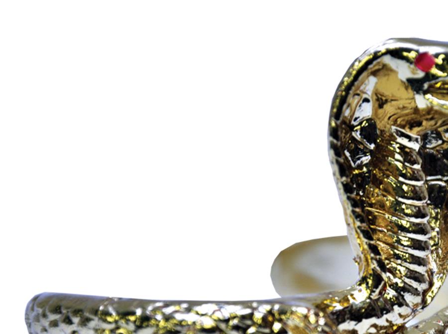 Cleopatra Egyptian Snake Armband Adult Costume Accessory