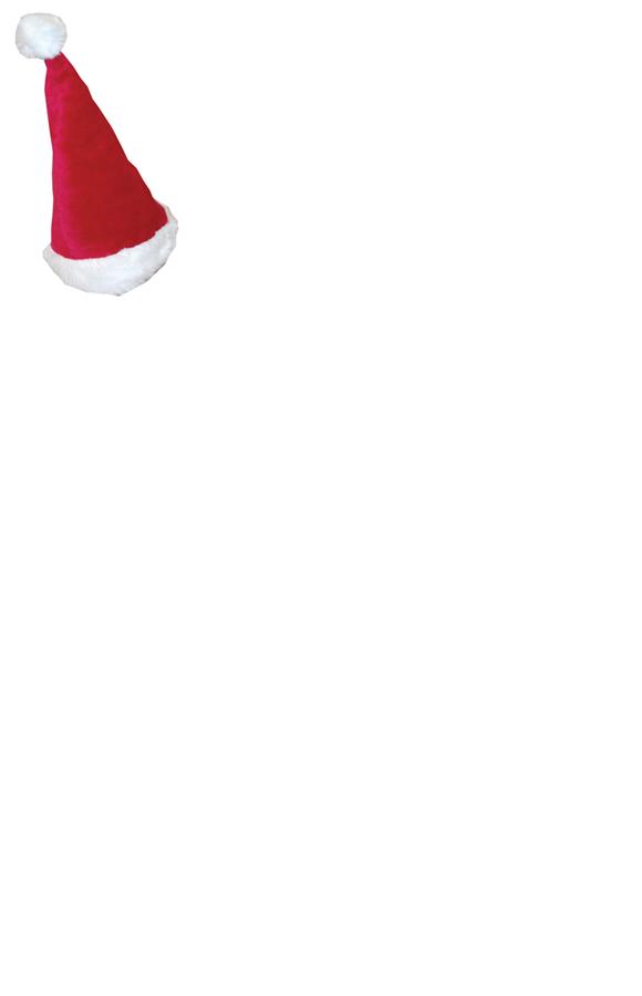 Santa Claus Adult Hat