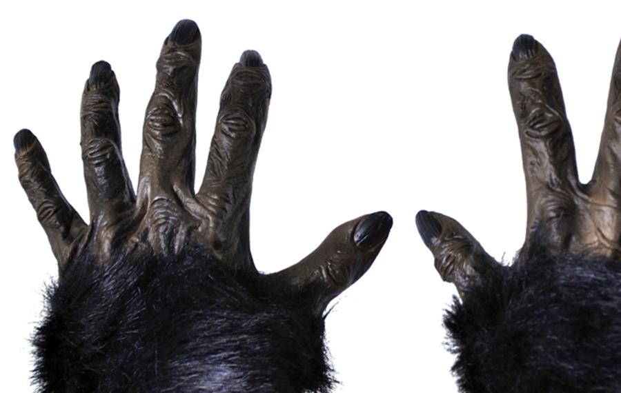 Gorilla Hands Adult Gloves