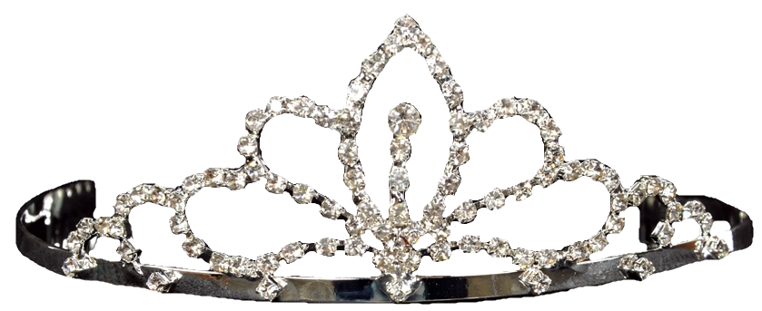 Princess Swirl Tiara Rhinestones 2in Adult Costume Accessory