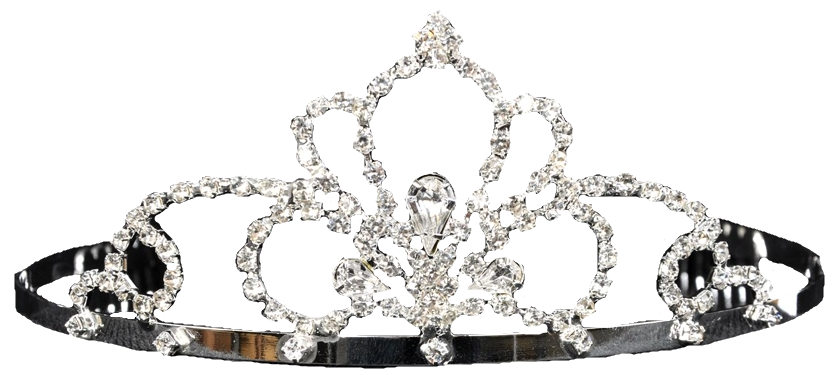 Princess Tiara Rhinestones 2.25in Adult Costume Accessory