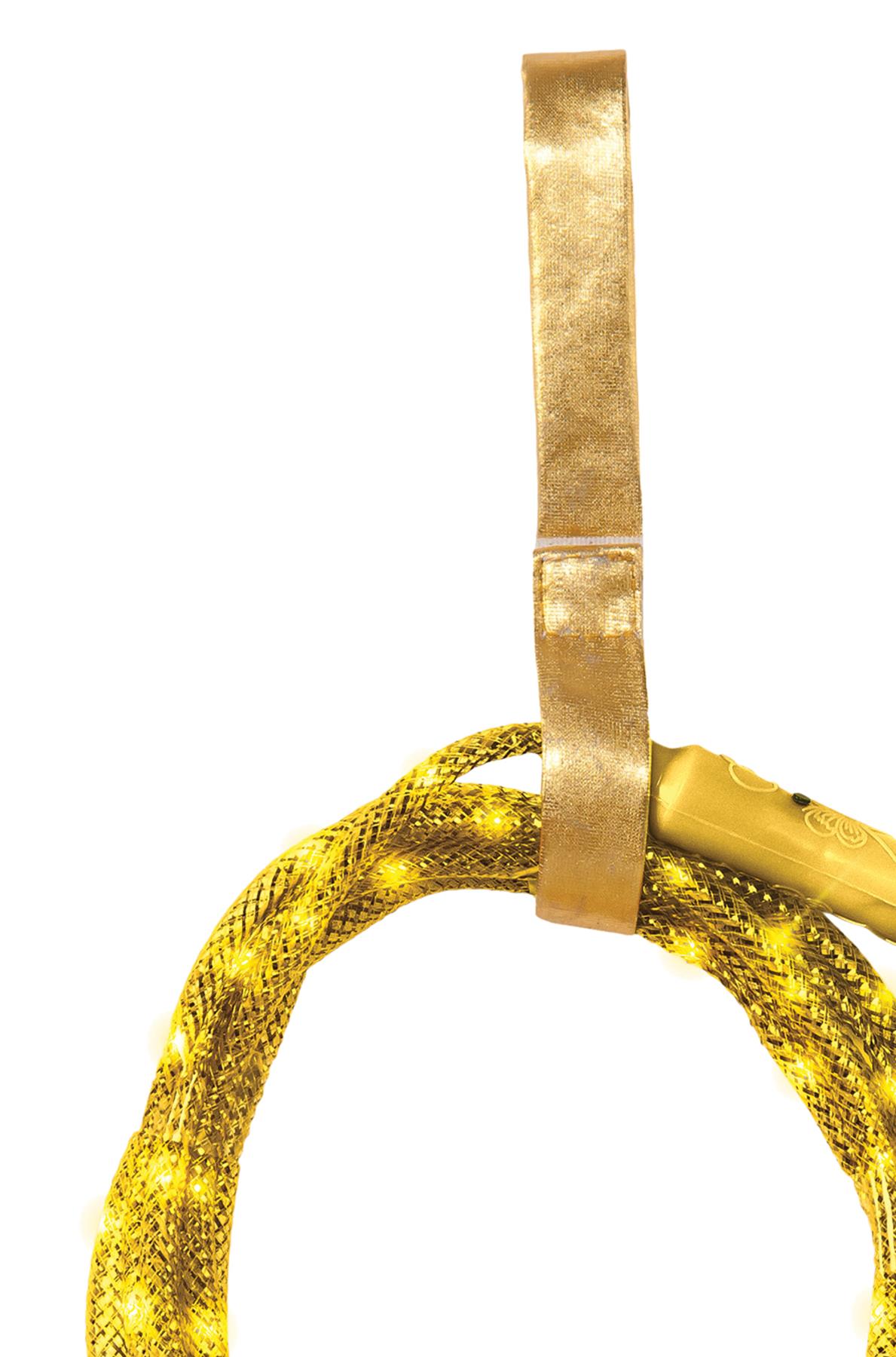 Batman vs. Superman Wonder Woman Light Up Lasso Costume Accessory