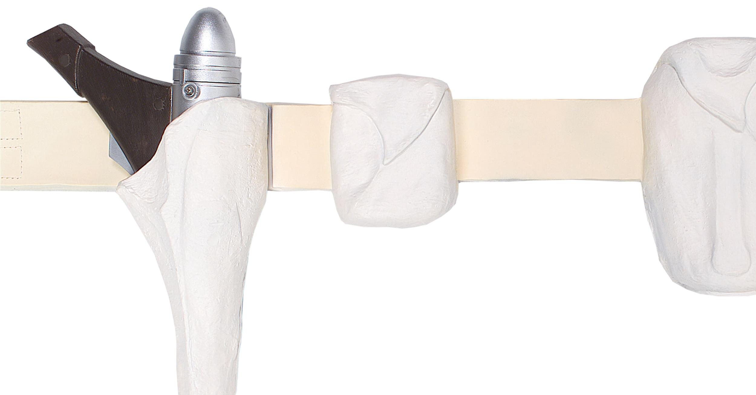 Star Wars Padme Amidala Holster and Blaster Child Costume Accessory