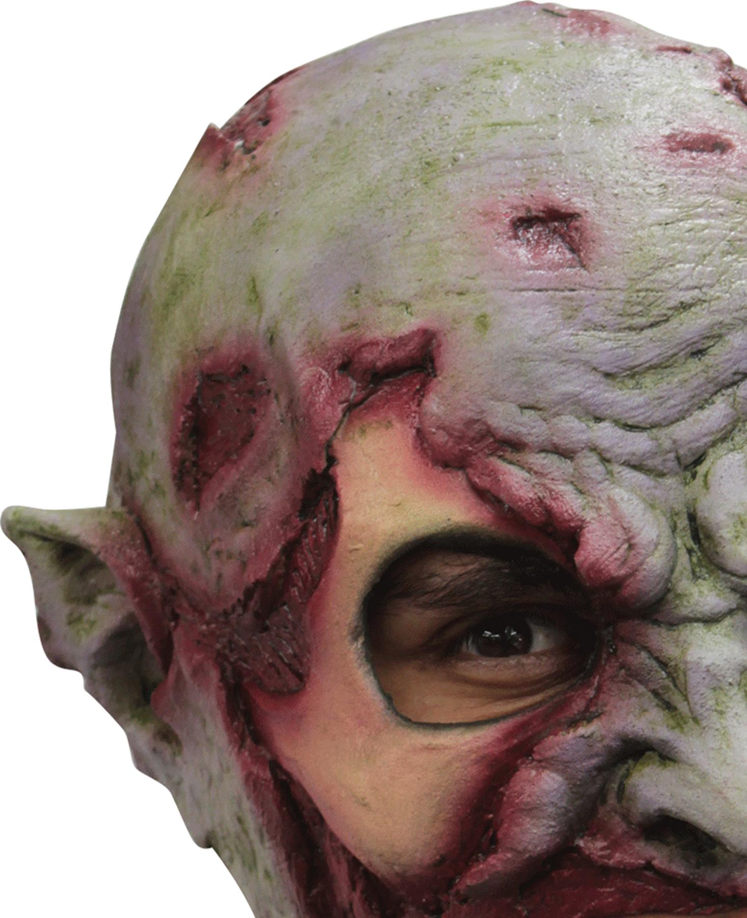 Zombie Walker Adult Mask