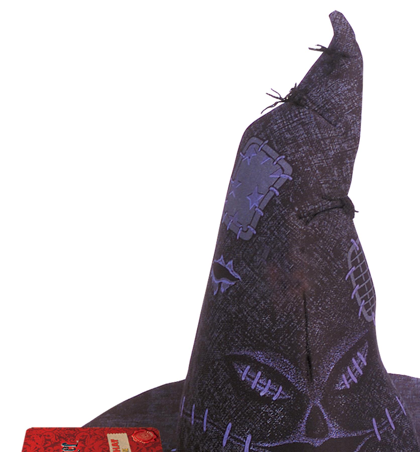 Harry Potter Sorting Hat Child Hat