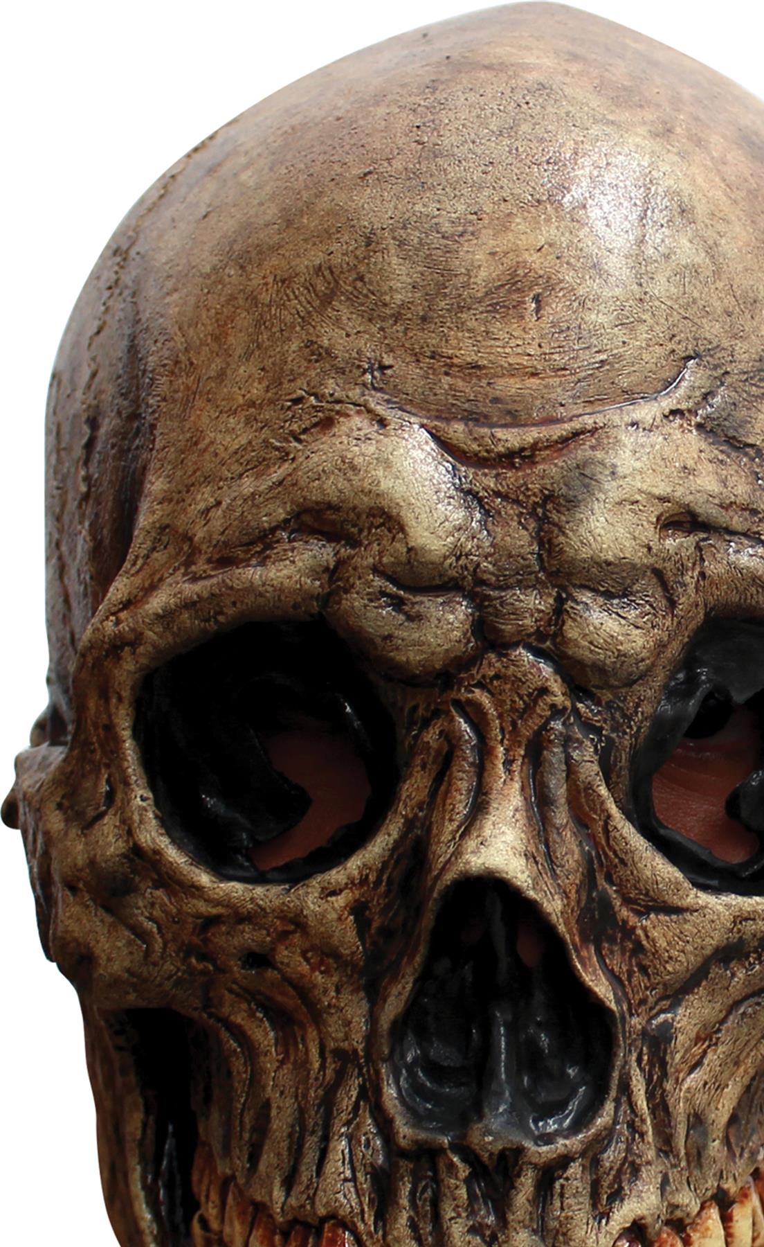 Ancient Skull Adult Mask