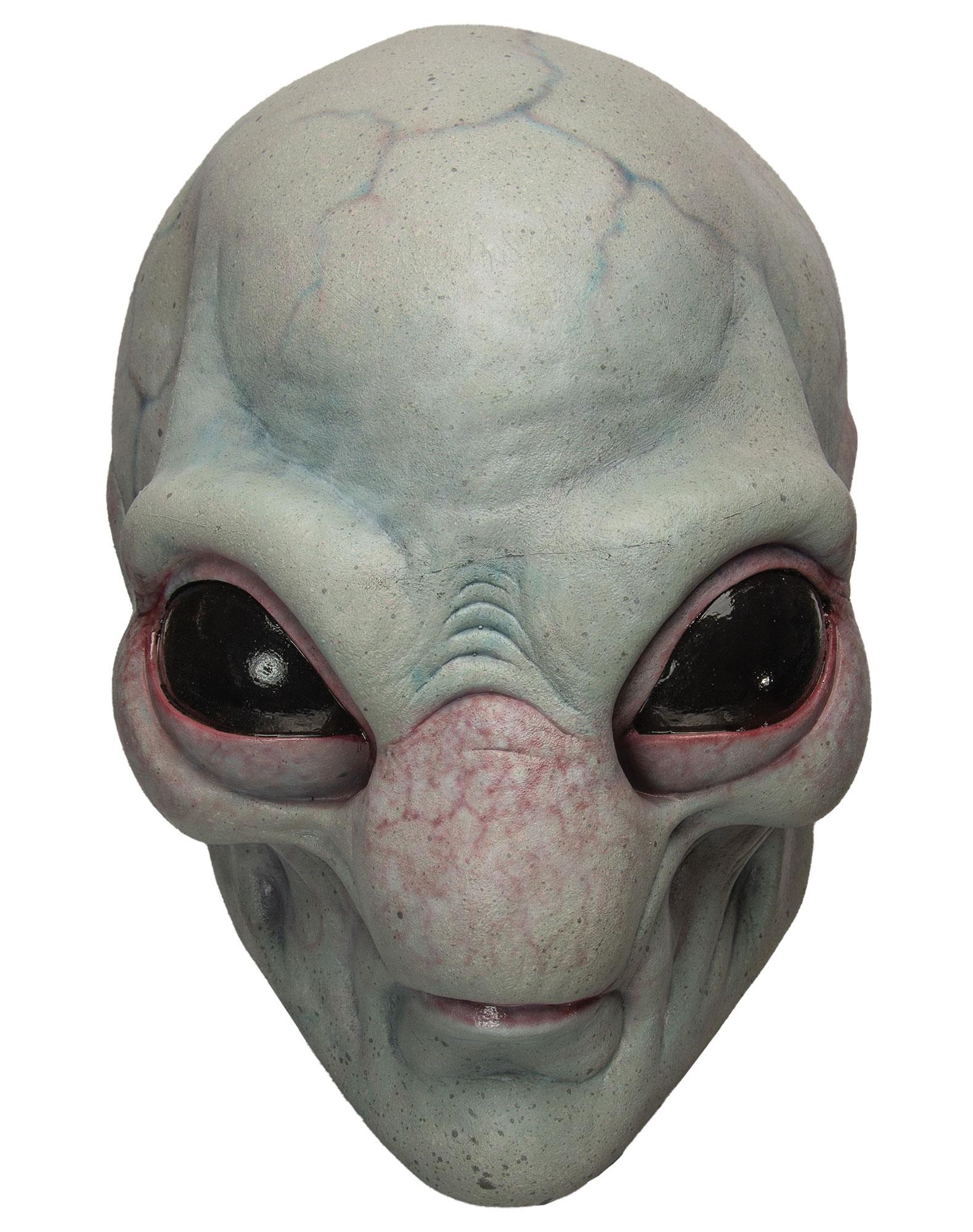 Visitor Latex Adult Mask