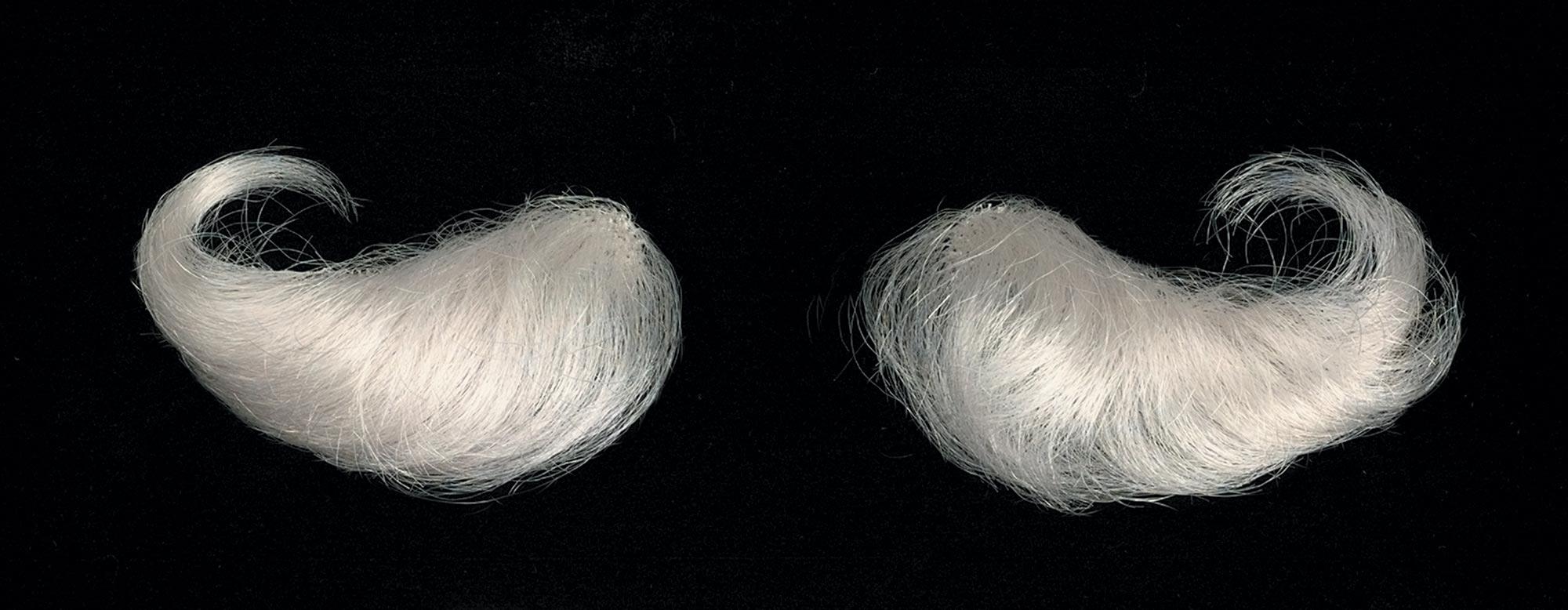 Santa Deluxe Eyebrows Adult Costume Accessory