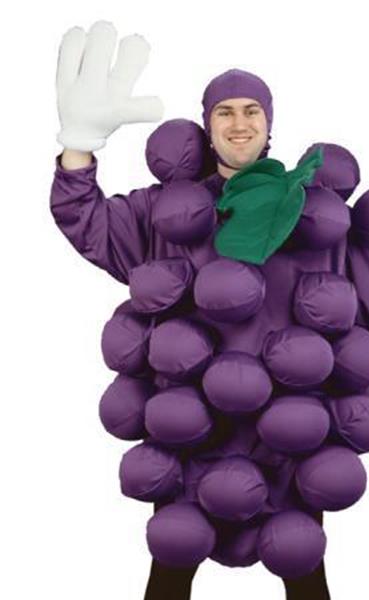 Purple Grapes Adult Costume