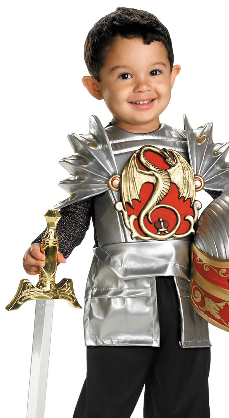 Knight of the Dragon Toddler Costume
