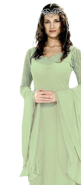 The Lord of the Rings Queen Arwen Deluxe Adult Costume - Discount Party  Supplies