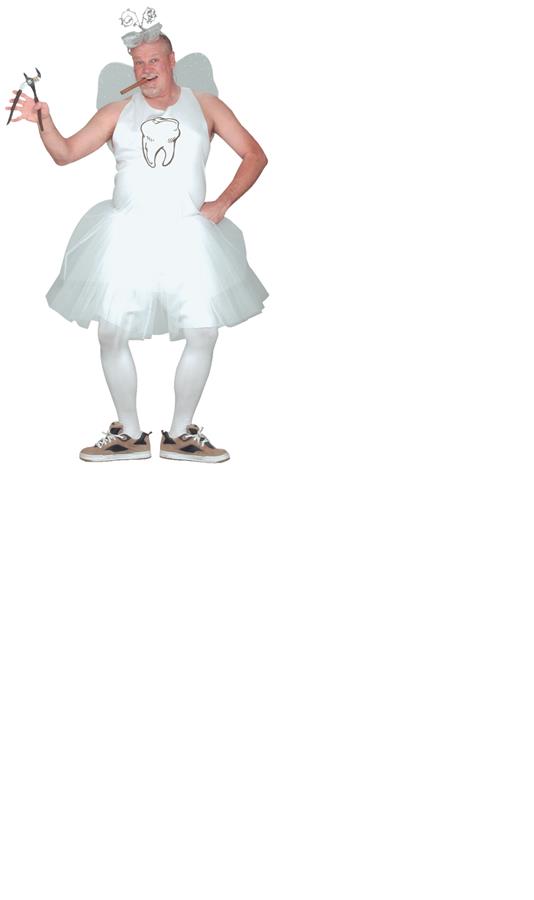 Tooth Fairy Adult Costume