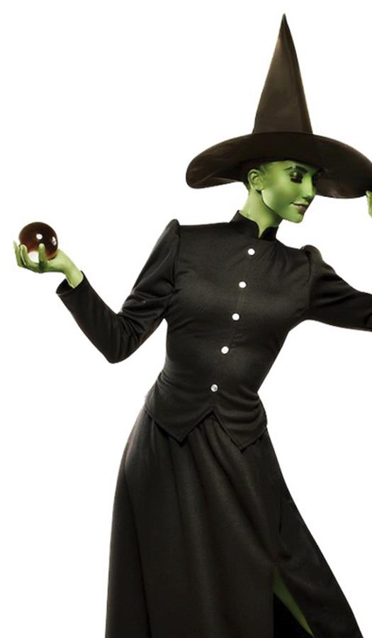 Classic Witch Adult Costume