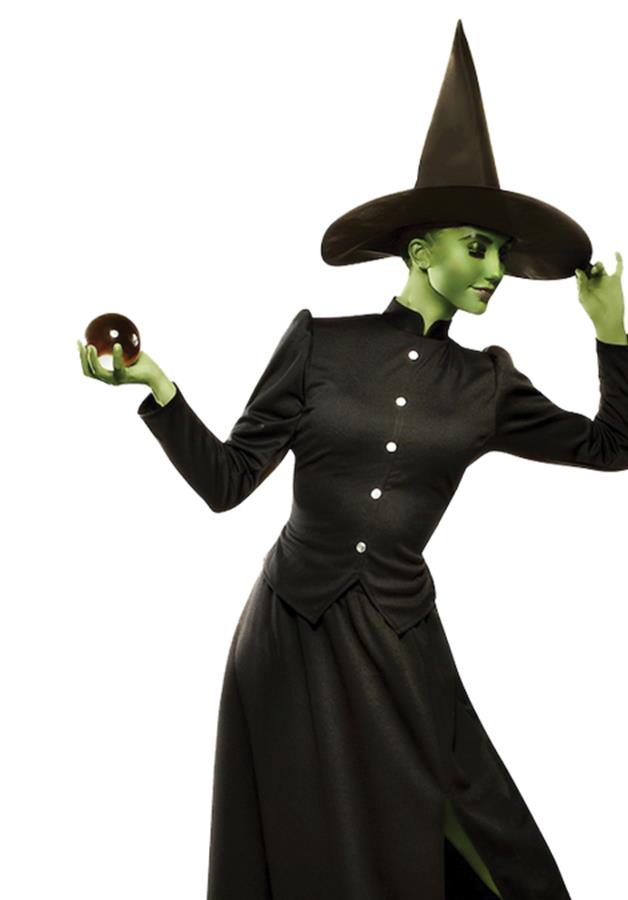 Classic Witch Adult Costume Small
