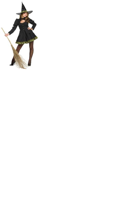 Totally Wicked Adult Costume Large