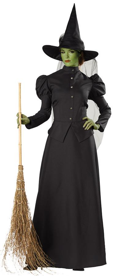 Witch Classic Deluxe Adult Costume Small