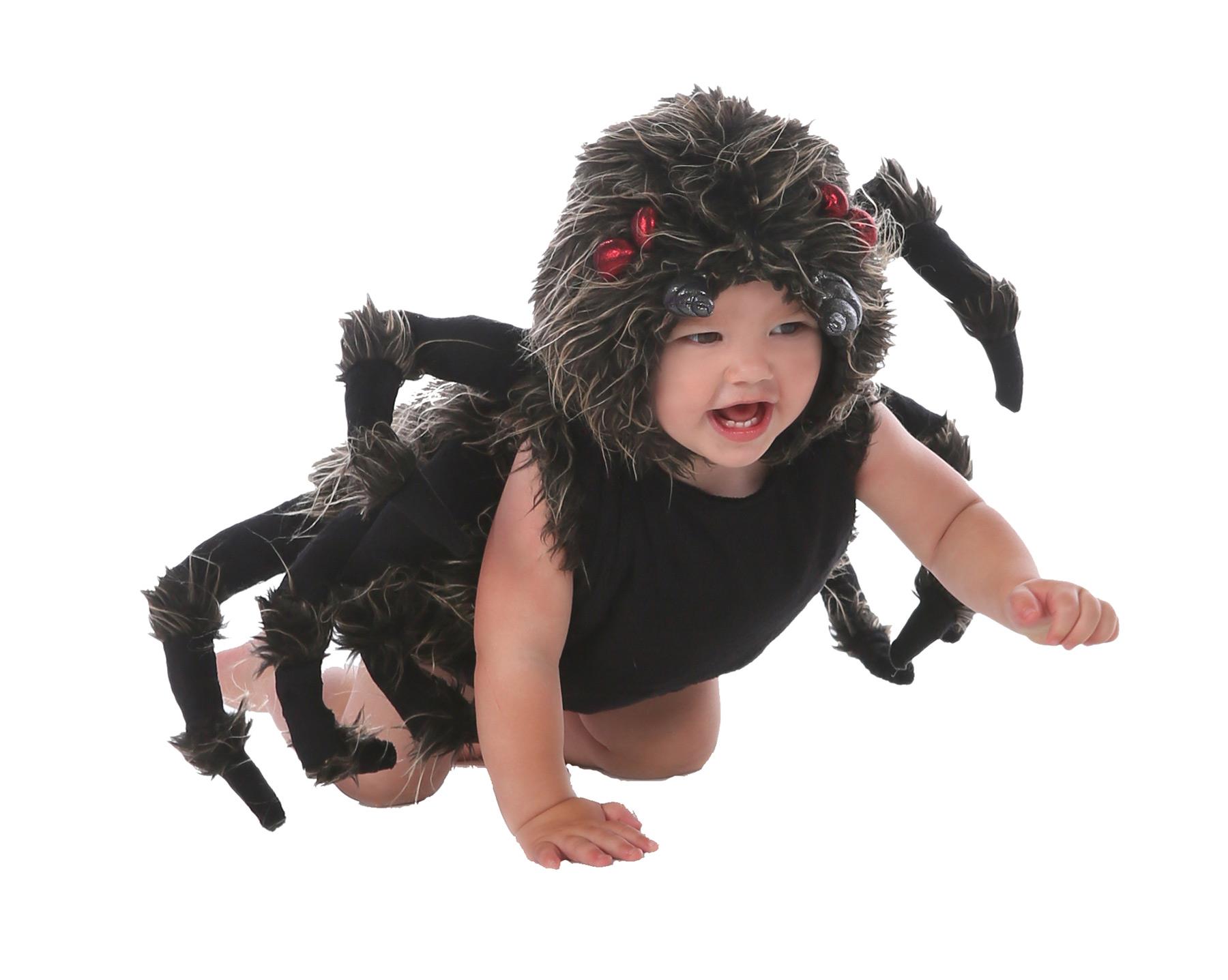 Tarantula Talan Infant / Toddler Costume 6-12 Months