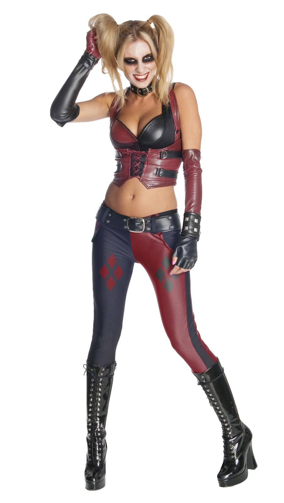 Batman Arkham City Secret Wishes Harley Quinn Adult Costume XS