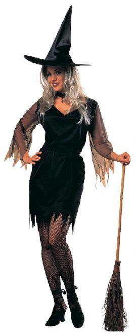 Sexy Witch Adult Costume