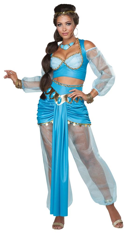 Arabian Princess Adult Costume Small