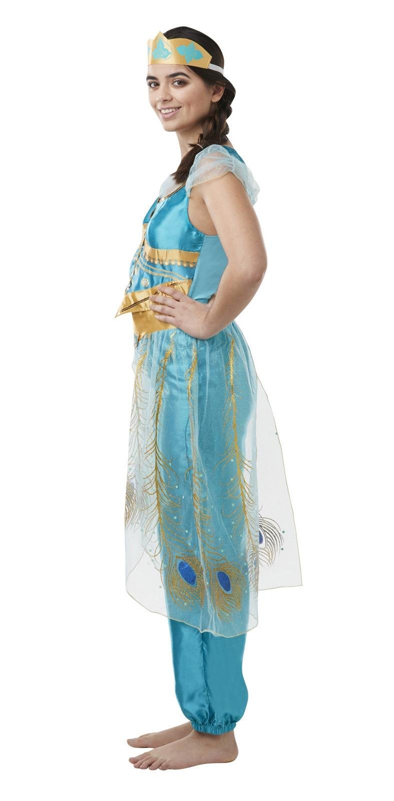 Aladdin Movie Jasmine Adult Costume Medium