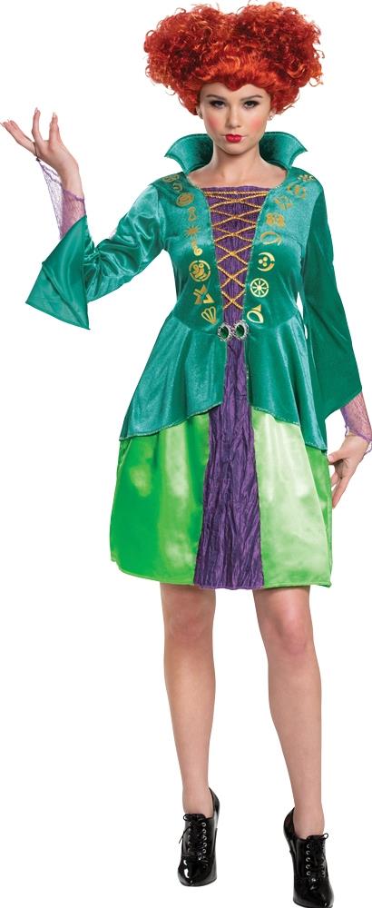 Hocus Pocus Winifred Classic Adult Costume 12-14
