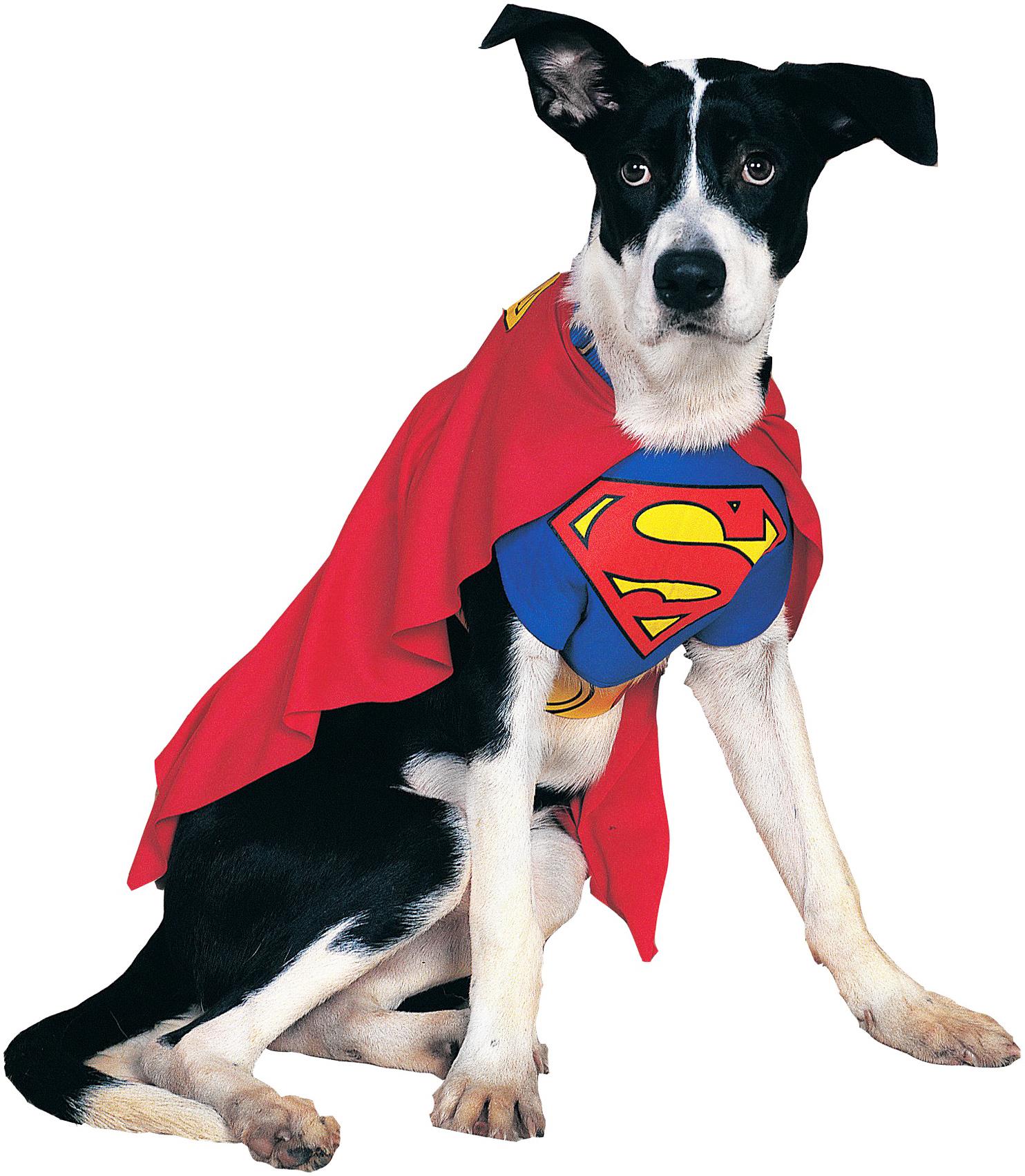 Superman Pet Costume Large