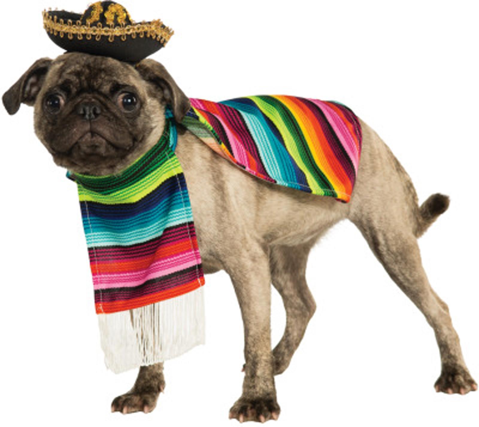 Mexican Poncho Sombrero Pet Costume Medium
