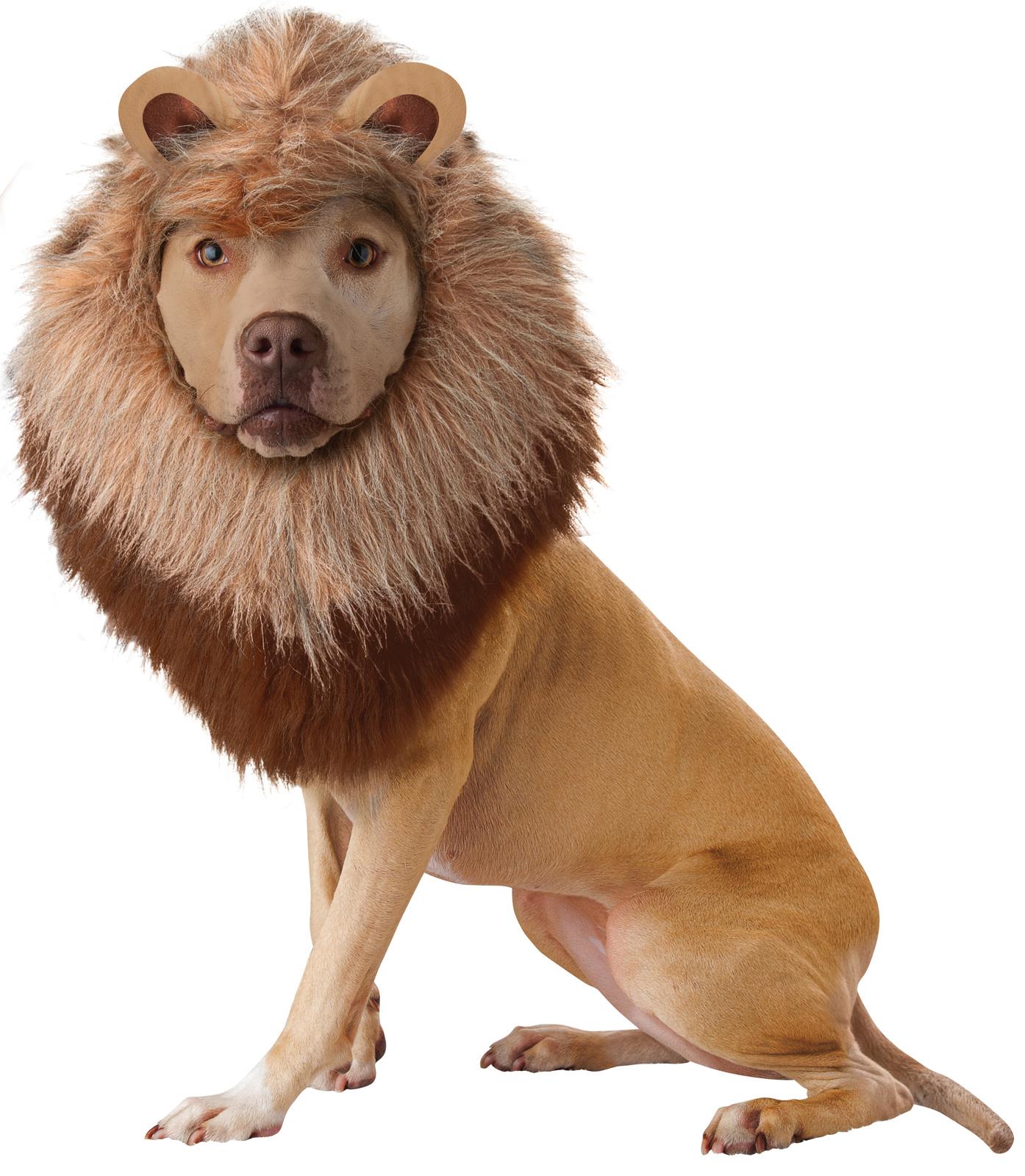 Lion Pet Costume Large