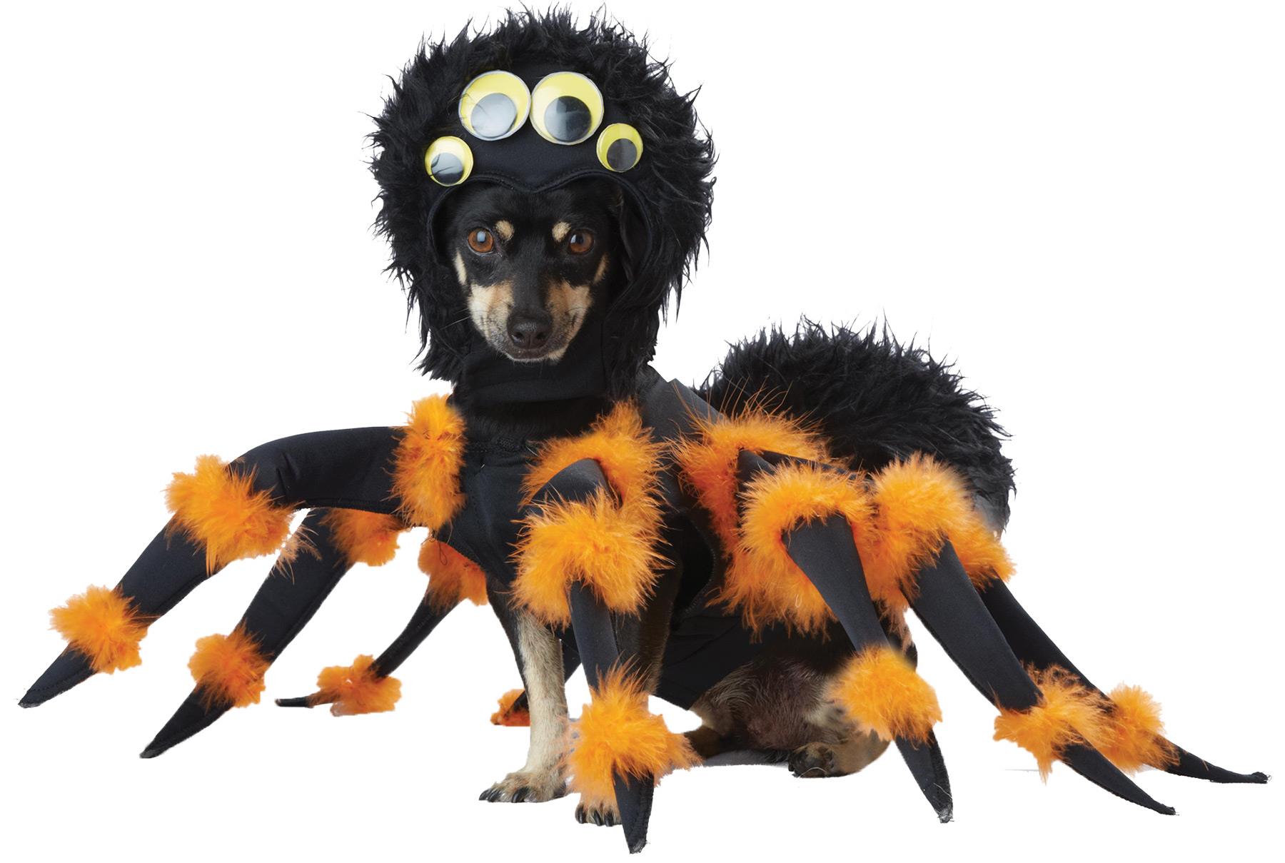 Spider Pet Costume Large