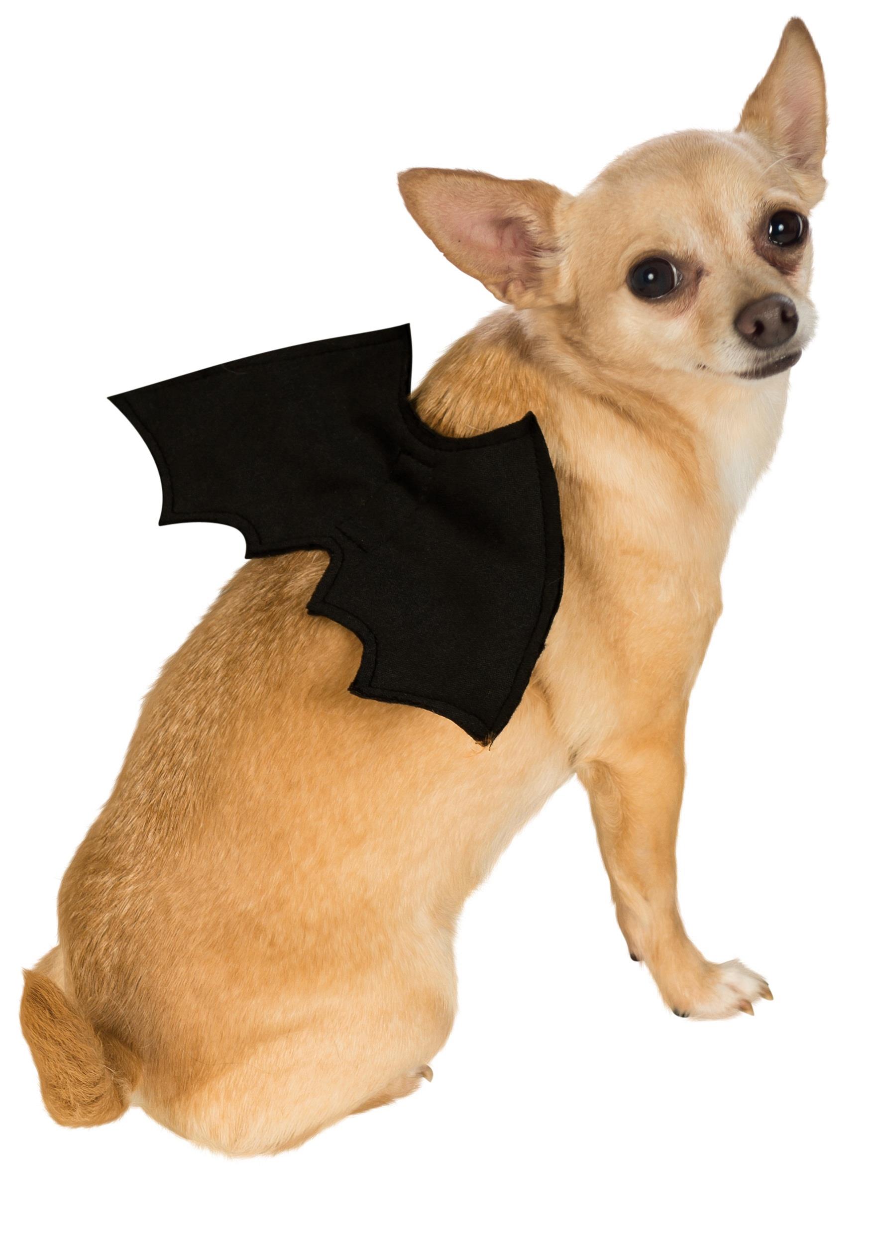 Black Bat Wings Pet Costume M/L