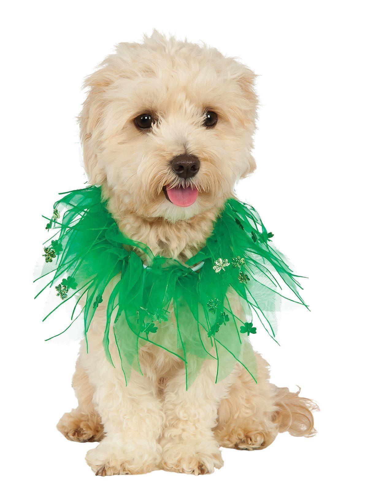 St. Patrick's Day Pet Collar