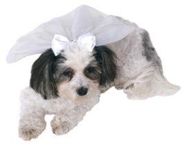 Wedding Veil Pet Costume Accessory
