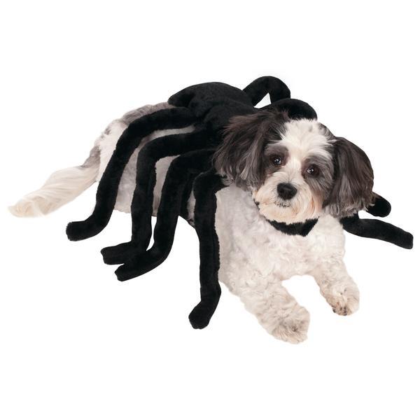 Spider Harness Pet Costume Large