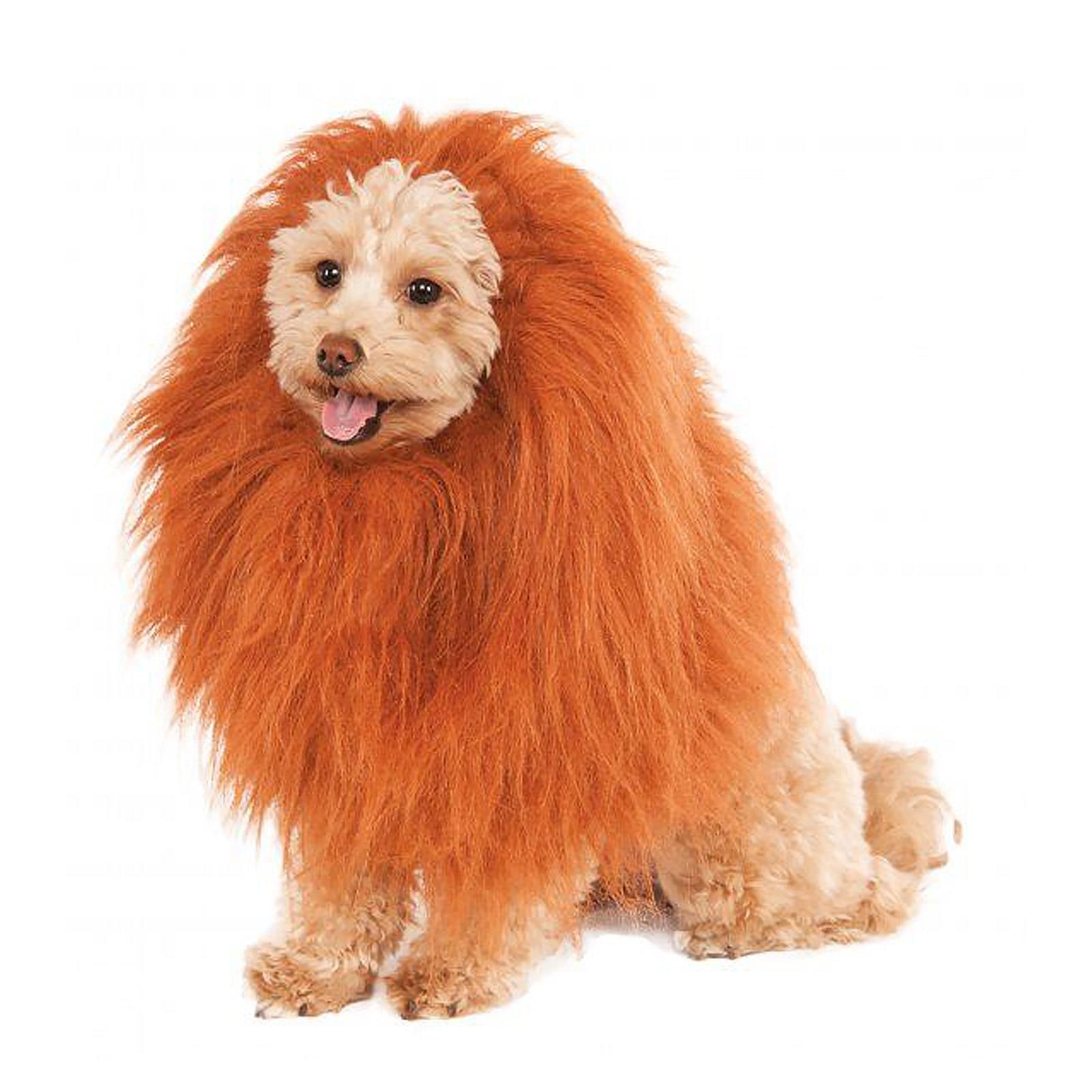 Lion Mane Deluxe Pet Costume