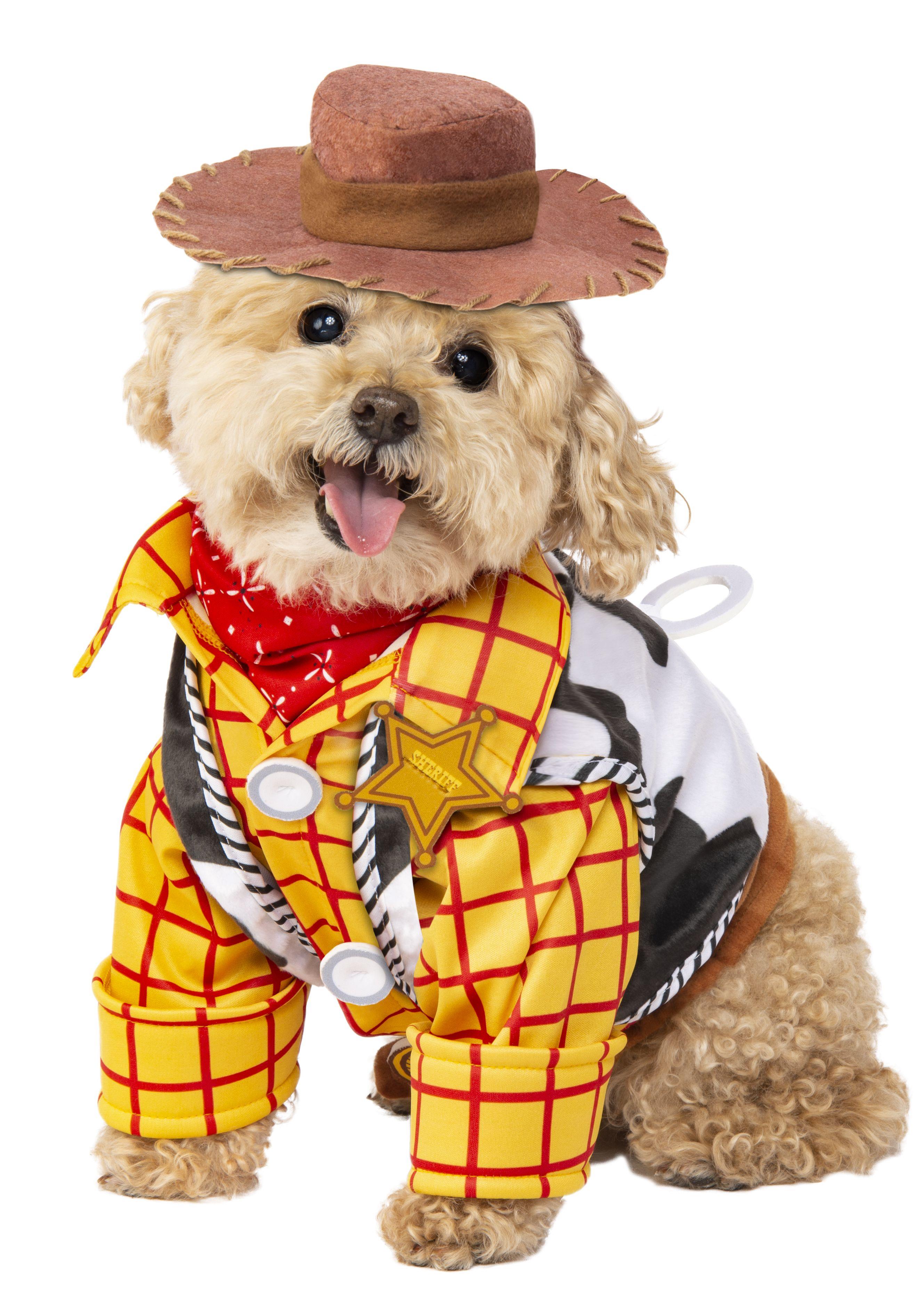 Toy Story Woody Pet Costume Small