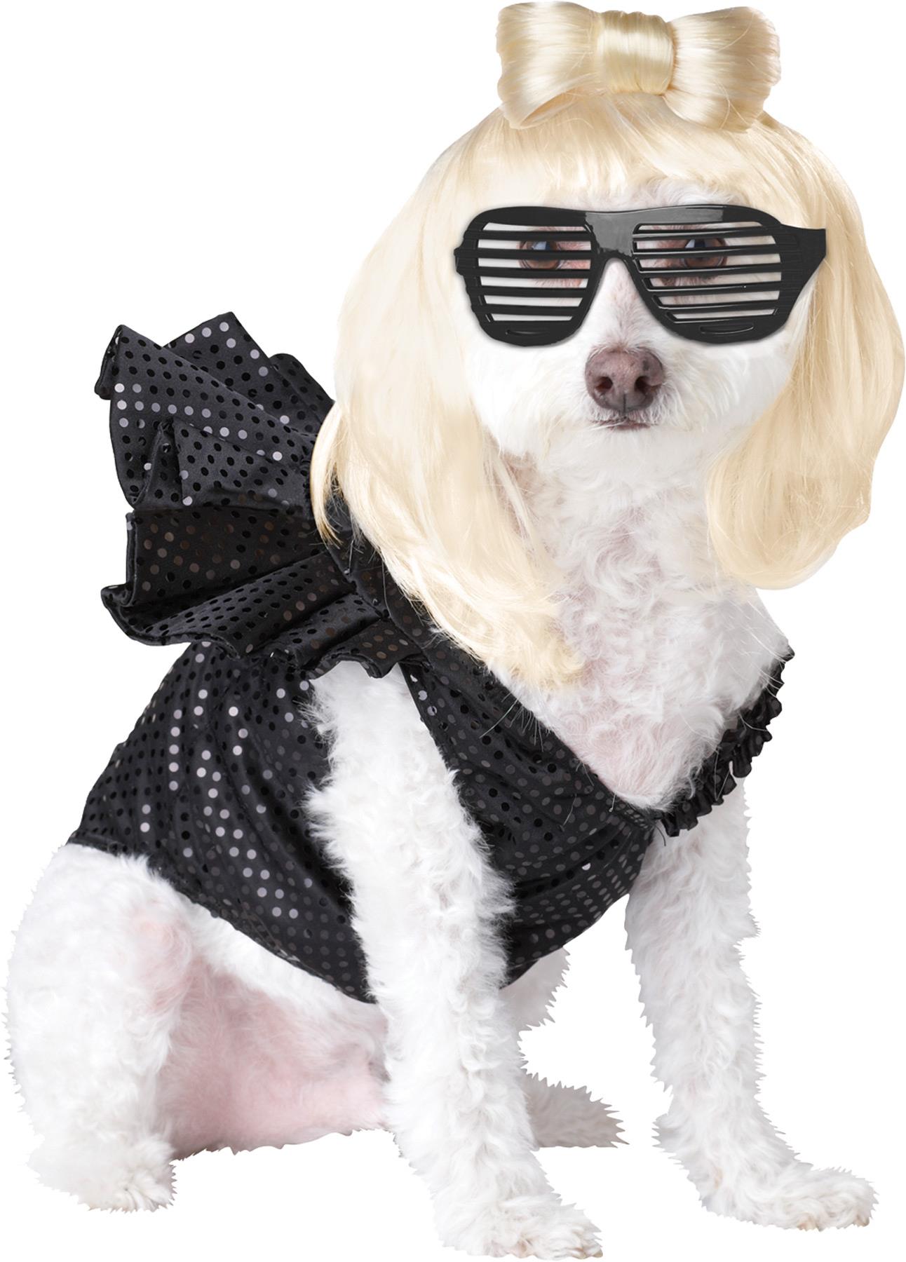 Pop Sensation Pet Costume Small